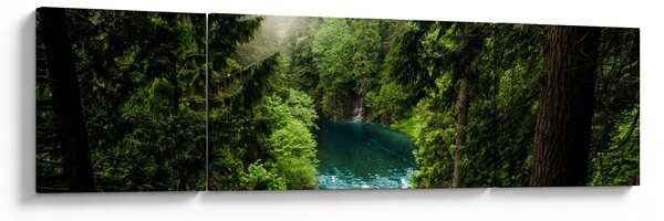 Obraz - Průzor mezi stromy (170x50 cm)