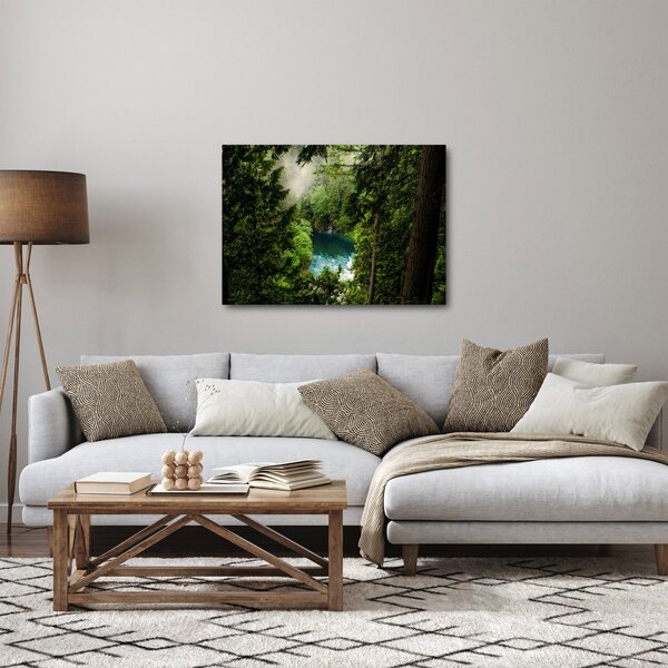 Obraz - Průzor mezi stromy (70x50 cm)