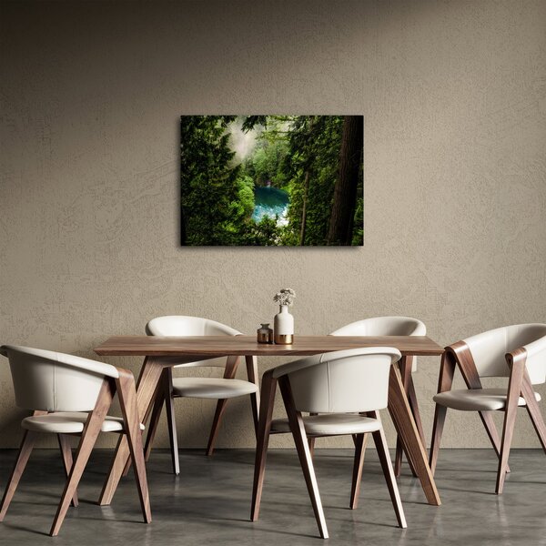 Obraz - Průzor mezi stromy (70x50 cm)