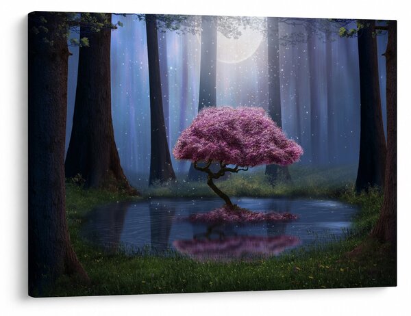 Obraz - Magická noc (70x50 cm)