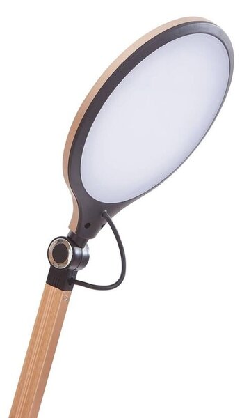 Lindby - Nyxaris LED Stolní Lampa CCT Zlatá