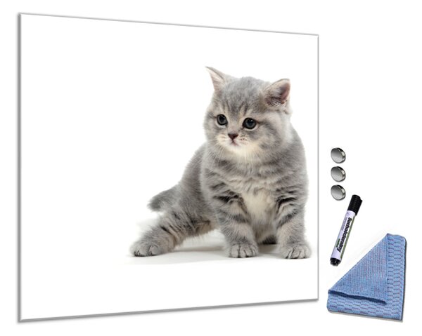 Glasdekor Skleněná magnetická tabule malá šedá kočka S-1921181123-6070