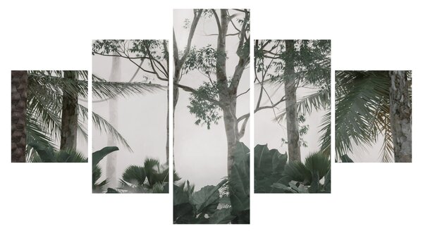 Obraz - Jungle v ranní mlze (125x70 cm)