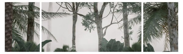 Obraz - Jungle v ranní mlze (170x50 cm)