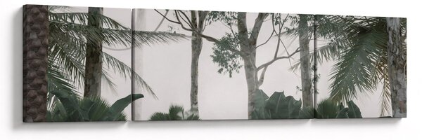 Obraz - Jungle v ranní mlze (170x50 cm)