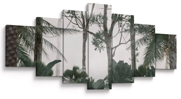 Obraz - Jungle v ranní mlze (210x100 cm)