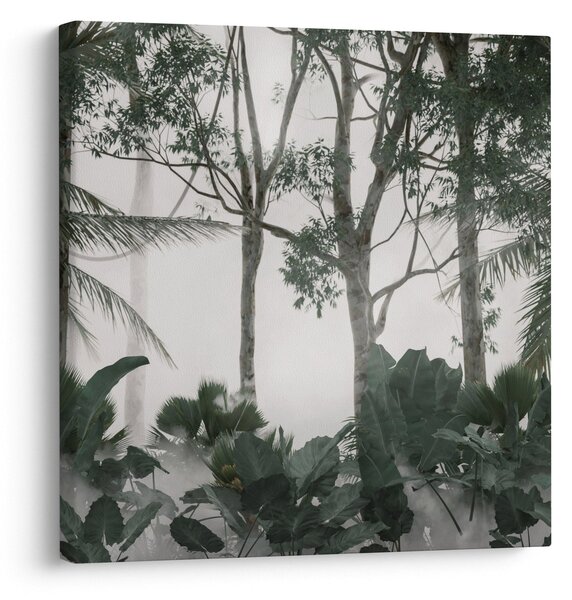Obraz - Jungle v ranní mlze (30x30 cm)