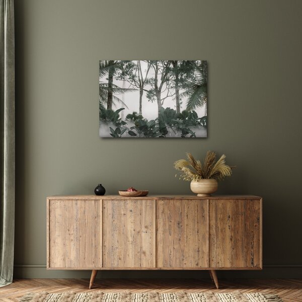 Obraz - Jungle v ranní mlze (70x50 cm)