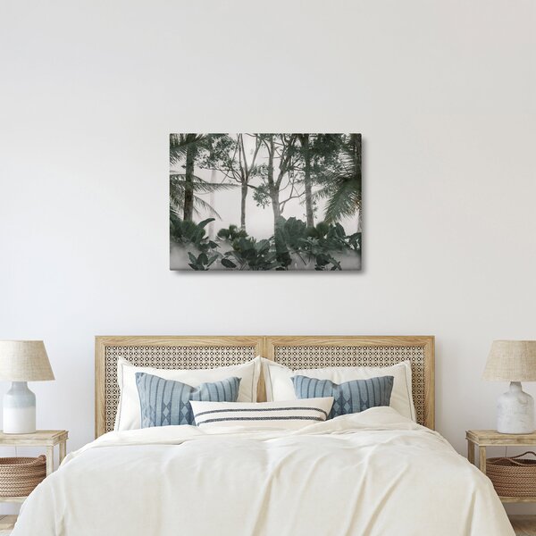 Obraz - Jungle v ranní mlze (70x50 cm)