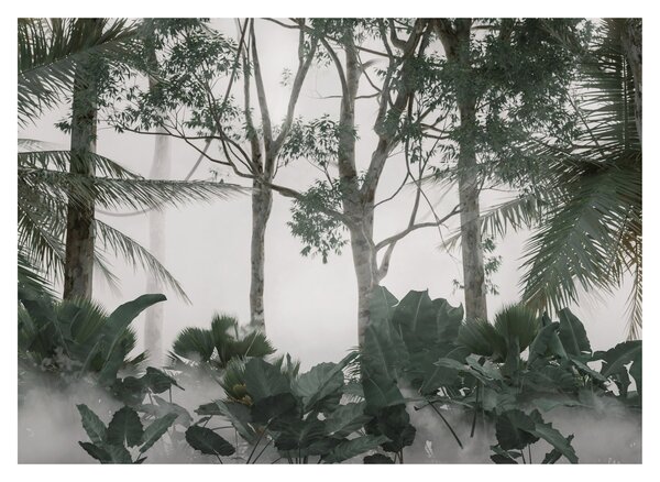 Obraz - Jungle v ranní mlze (70x50 cm)