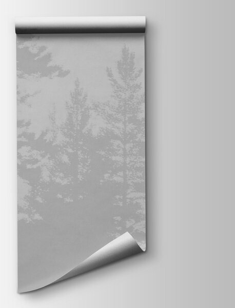 Fototapeta Snímek lesa v odstínech šedé, Přírodní fototapety, Populární fototapety - Tapeko.co.cz