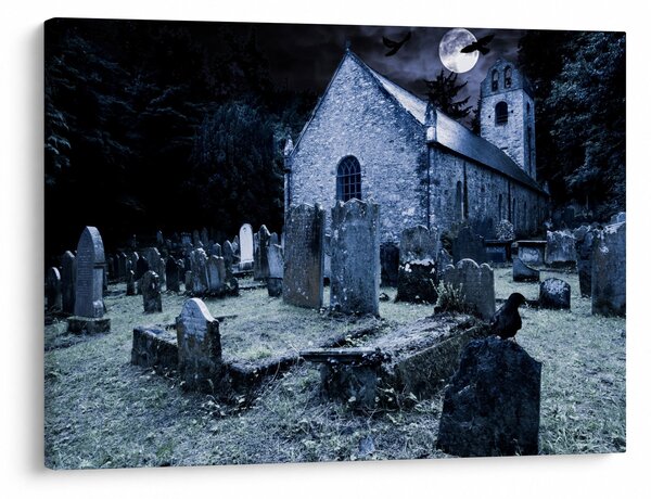 Obraz - Temná noc (70x50 cm)