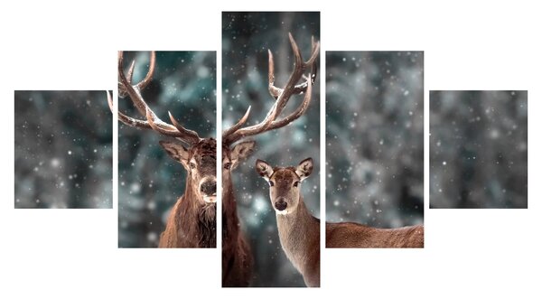 Obraz - Jelen a laň v zasněženém lese (125x70 cm)