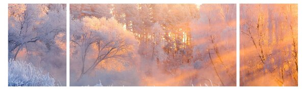 Obraz - Mrazivé svítání (170x50 cm)