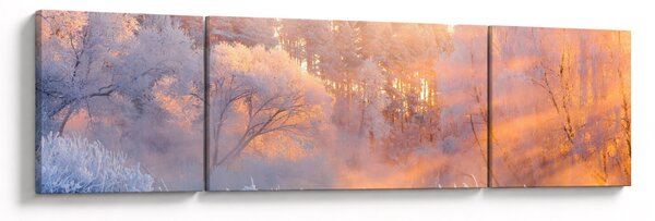 Obraz - Mrazivé svítání (170x50 cm)