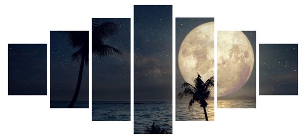 Obraz - Pláž za úplňku (210x100 cm)