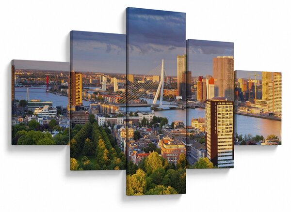 Obraz - Panorama Rotterdamu, Nizozemsko (125x70 cm)