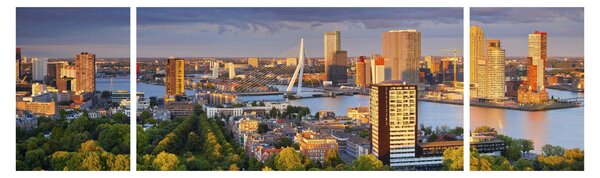 Obraz - Panorama Rotterdamu, Nizozemsko (170x50 cm)