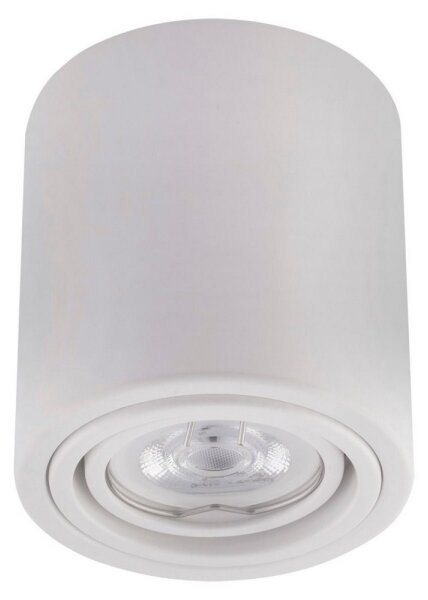 Ledvance - Bodové svítidlo TUBA 1xGU10/50W/230V