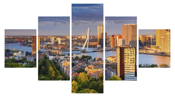 Obraz - Panorama Rotterdamu, Nizozemsko (125x70 cm)