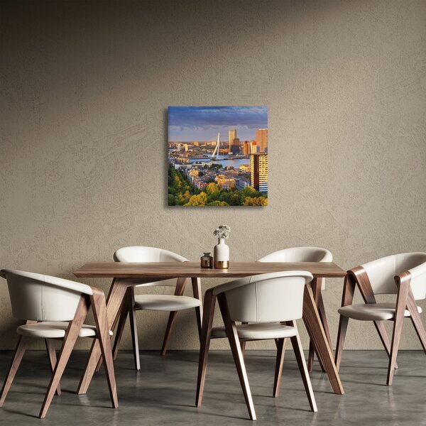 Obraz - Panorama Rotterdamu, Nizozemsko (30x30 cm)