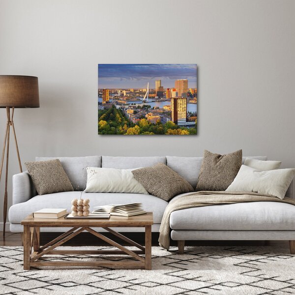 Obraz - Panorama Rotterdamu, Nizozemsko (70x50 cm)