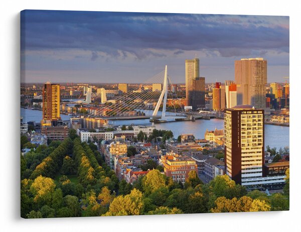 Obraz - Panorama Rotterdamu, Nizozemsko (70x50 cm)