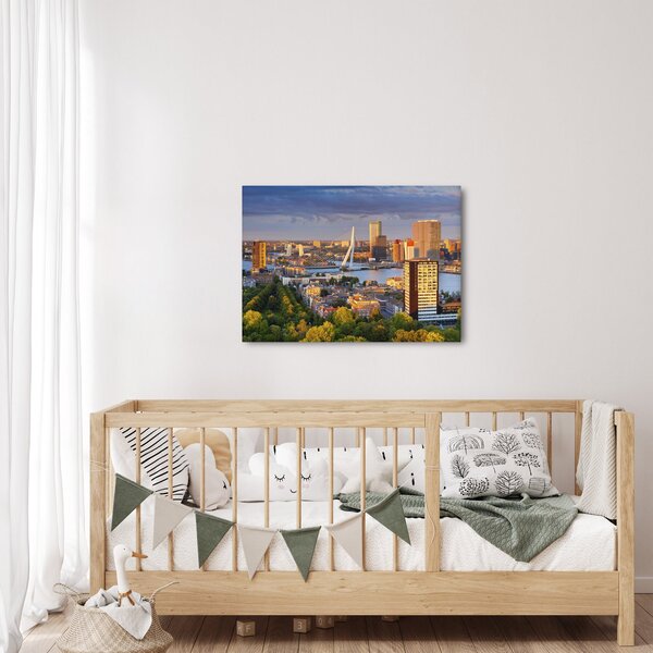 Obraz - Panorama Rotterdamu, Nizozemsko (70x50 cm)