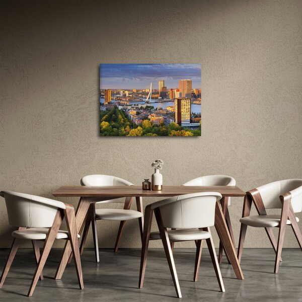 Obraz - Panorama Rotterdamu, Nizozemsko (70x50 cm)
