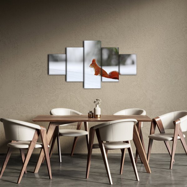 Obraz veverky (125x70 cm)
