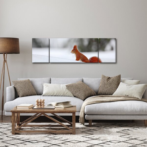 Obraz veverky (170x50 cm)