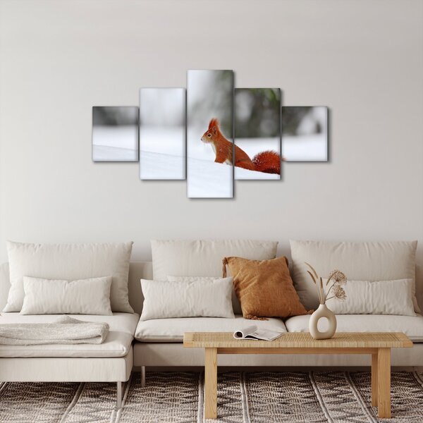 Obraz veverky (125x70 cm)