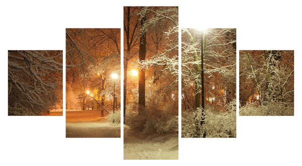 Obraz - Zasněžený park (125x70 cm)