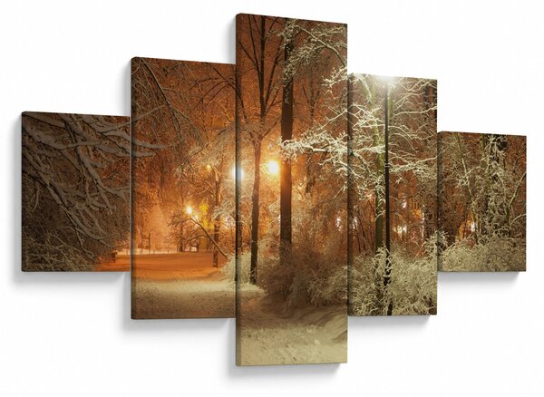 Obraz - Zasněžený park (125x70 cm)