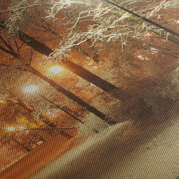 Obraz - Zasněžený park (170x50 cm)