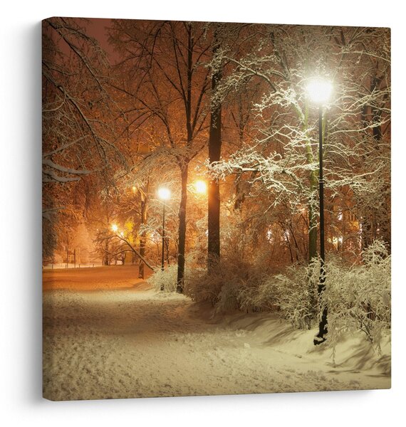 Obraz - Zasněžený park (30x30 cm)