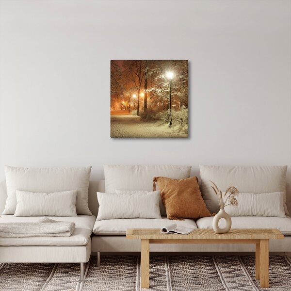 Obraz - Zasněžený park (30x30 cm)