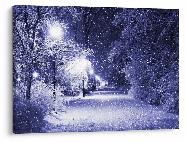Obraz - Kouzelná zimní noc (70x50 cm)