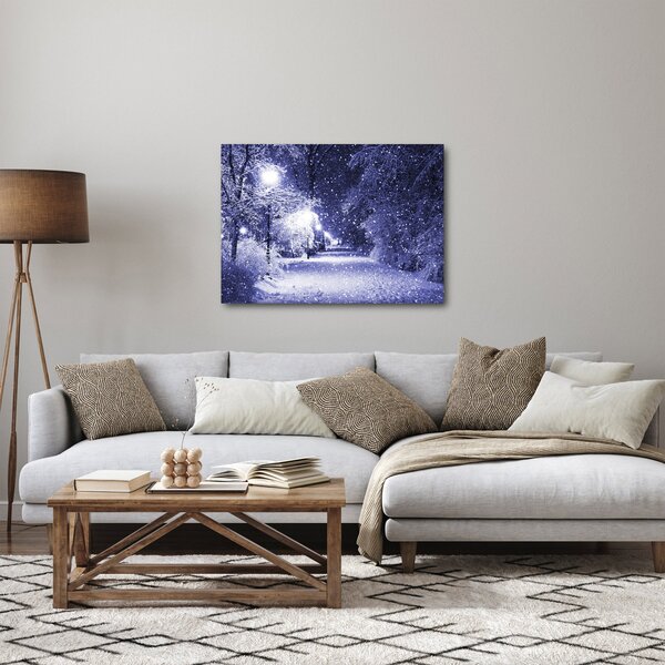 Obraz - Kouzelná zimní noc (70x50 cm)