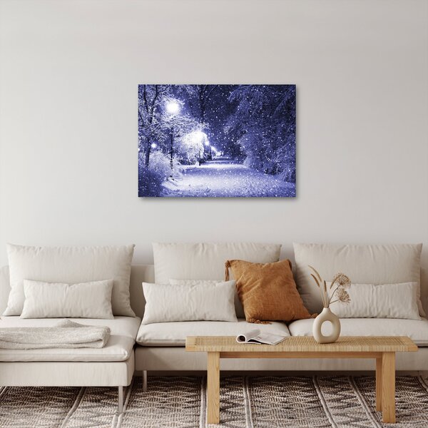 Obraz - Kouzelná zimní noc (70x50 cm)