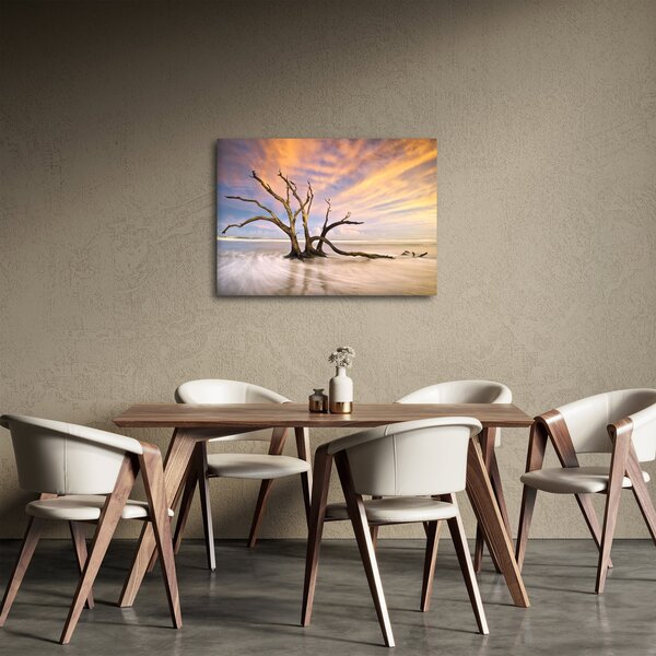 Obraz stromu v oceánu (70x50 cm)