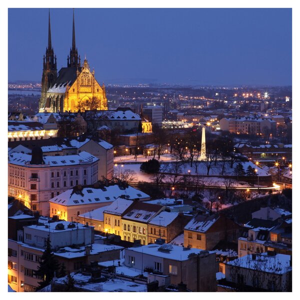 Obraz - Katedrála sv. Petra a Pavla, Brno, Česká Republika (30x30 cm)