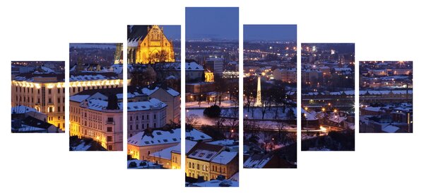Obraz - Katedrála sv. Petra a Pavla, Brno, Česká Republika (210x100 cm)