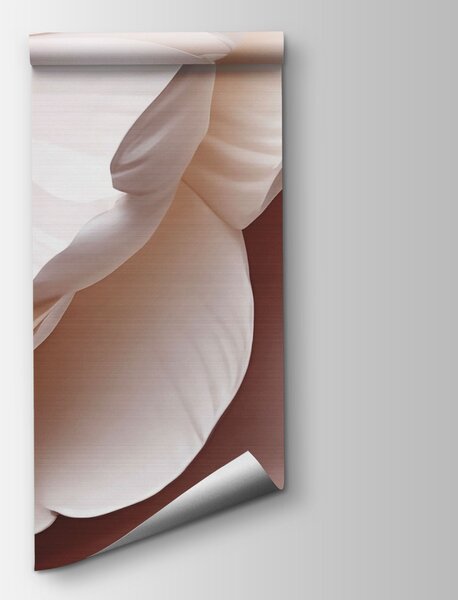 Fototapeta Skupina bílých a růžových květů, 3D květinové fototapety, Populární fototapety, t00693v1 - Tapeko.co.cz
