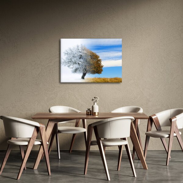 Obraz - Změna ročního období (70x50 cm)