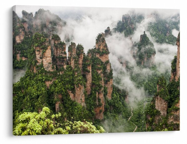 Obraz - Zhangjiajie National Park, Čína (70x50 cm)