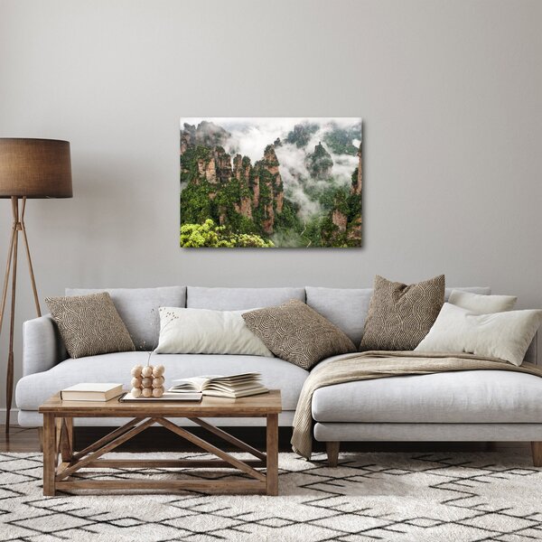 Obraz - Zhangjiajie National Park, Čína (70x50 cm)