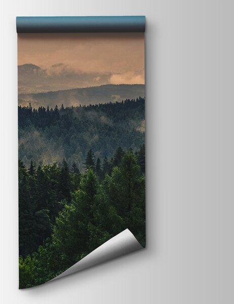 Fototapeta Les s mlhou a mraky, Designové fototapety na zeď, Populární fototapety, u72174 - Tapeko.co.cz