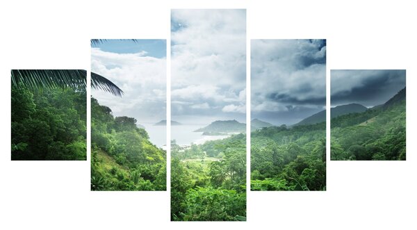 Obraz - Seychelská jungle (125x70 cm)