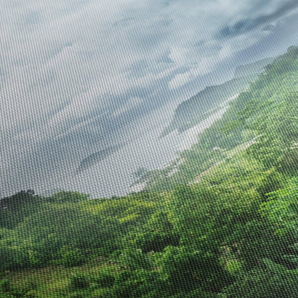 Obraz - Seychelská jungle (30x30 cm)